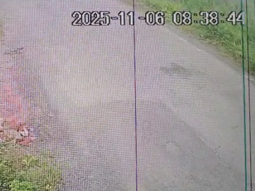 Surat RTO inspector plotted wife’s murder for six months: Gave shooter ...