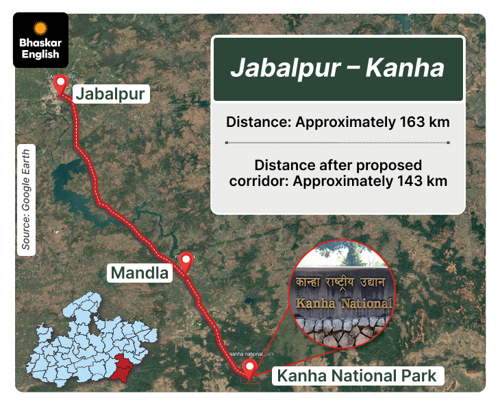 Morning safari in Kanha, evening in Bandhavgarh New 961 km tiger