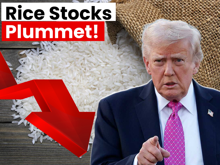 Donald Trump Rice Trump's tariff talks spook Indian rice companies: Rice stocks take a ...
