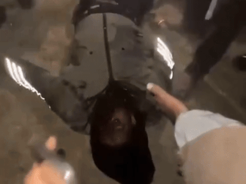 A photo has emerged showing a young man lying injured on the ground, reportedly Rana Balachauria. However, this has not been officially confirmed yet.