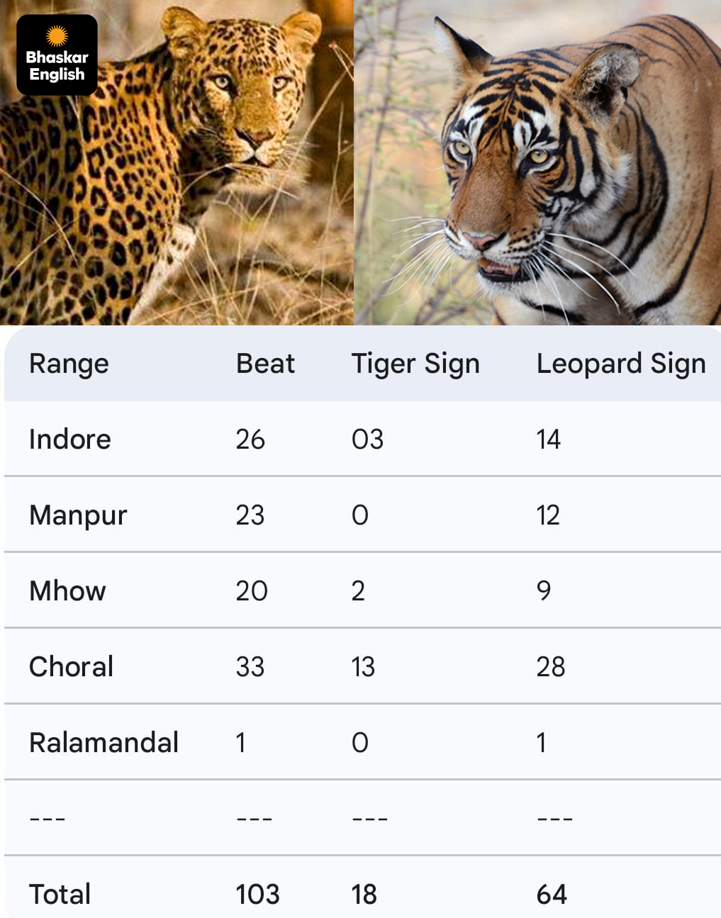 Tiger signs in Choral link Indore forests to Satpura landscape