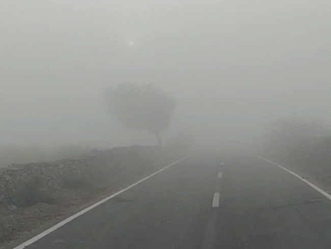 dense fog grips rajasthan intense cold alert from tomorrow days colder than nights maximum temperature below 20 degrees - Jaipur News | Bhaskar English