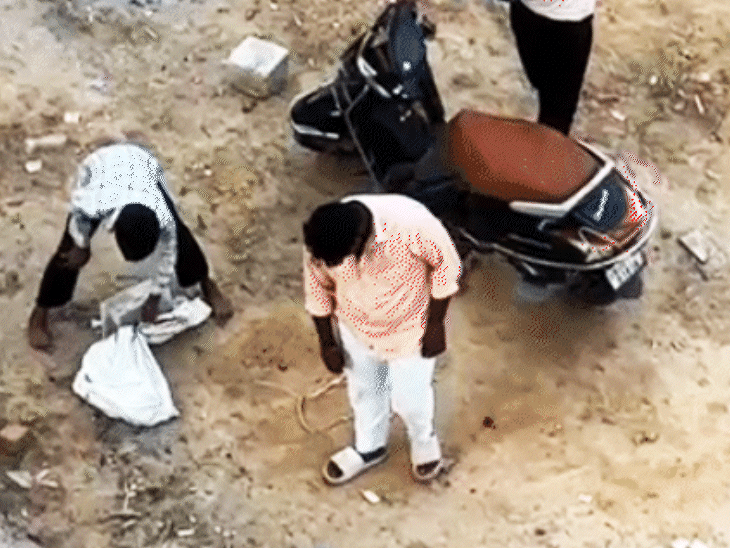 Ahmedabad man kills cat in brutal attack Stuffs in sack, smashes with  stones & kick repeatedly, video goes viral; police detain accused & start  investigation - Ahmedabad News | Bhaskar English