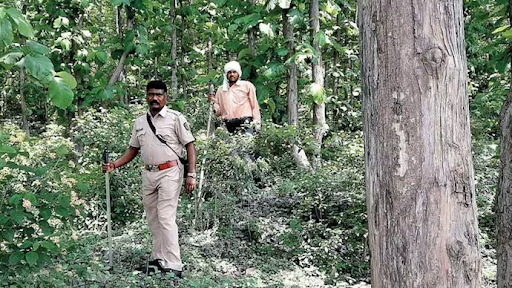 Most states have Forest Protection Forces or forest police with powers to register offences, seize equipment and arrest offenders under forest and wildlife laws. Serious or organised violations may involve the district police.