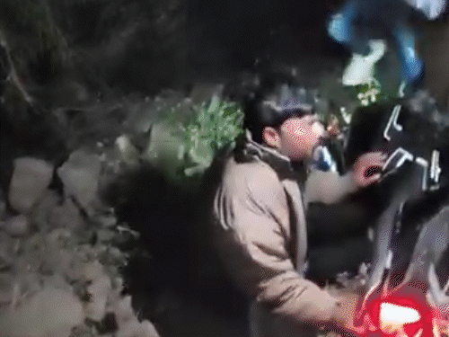 Video of Mayabhai Ahir's son with accused goes viral Congress enters Bagdana  attack case; Rutvik Makwana questions if Jayraj or trustee board behind  assault - Ahmedabad News | Bhaskar English