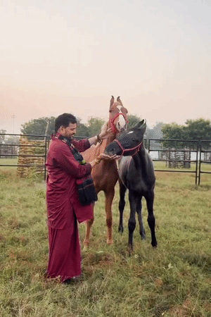 Brij Bhushan Singh is fond of horses