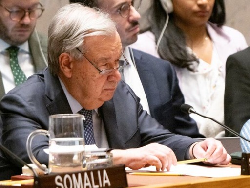 On 28 February, an emergency UNSC meeting was convened, addressed by UN Secretary-General António Guterres.