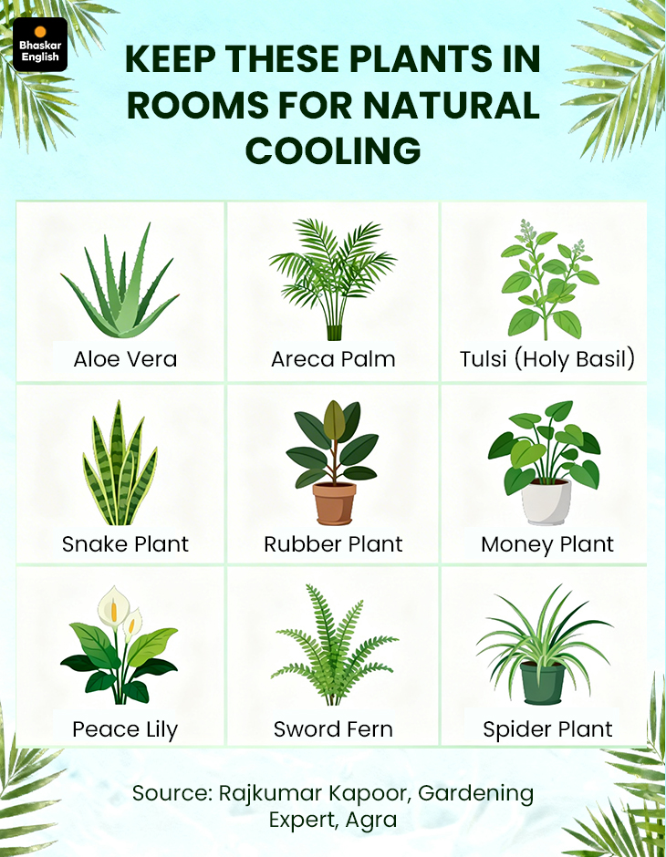 Summer Natural Home Cooling Tips; DIY Swamp Cooler Hacks