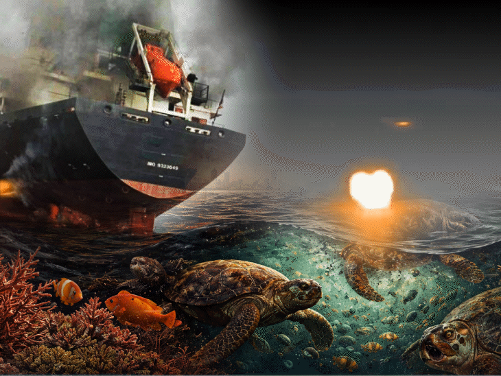 Strait of Hormuz: Aquatic Life & Climate Under Threat | West Asia War  Hidden Prices