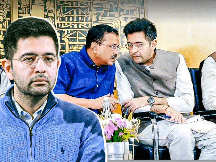 Raghav Chadha Removed AAP Deputy Leader | Punjab CM Statement; BJP Deal?