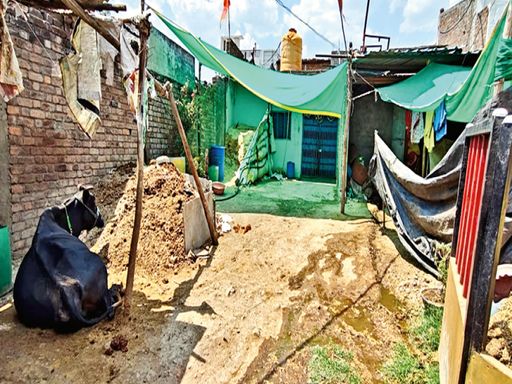 27 such cases were found in Ujjain alone.