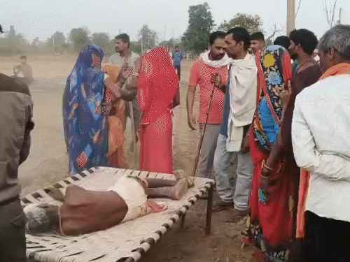 उमरिया में बाघ ने 3 ग्रामीणों पर हमला किया, जिसमें एक महिला की मौत हो गई. - भास्कर इंग्लिश