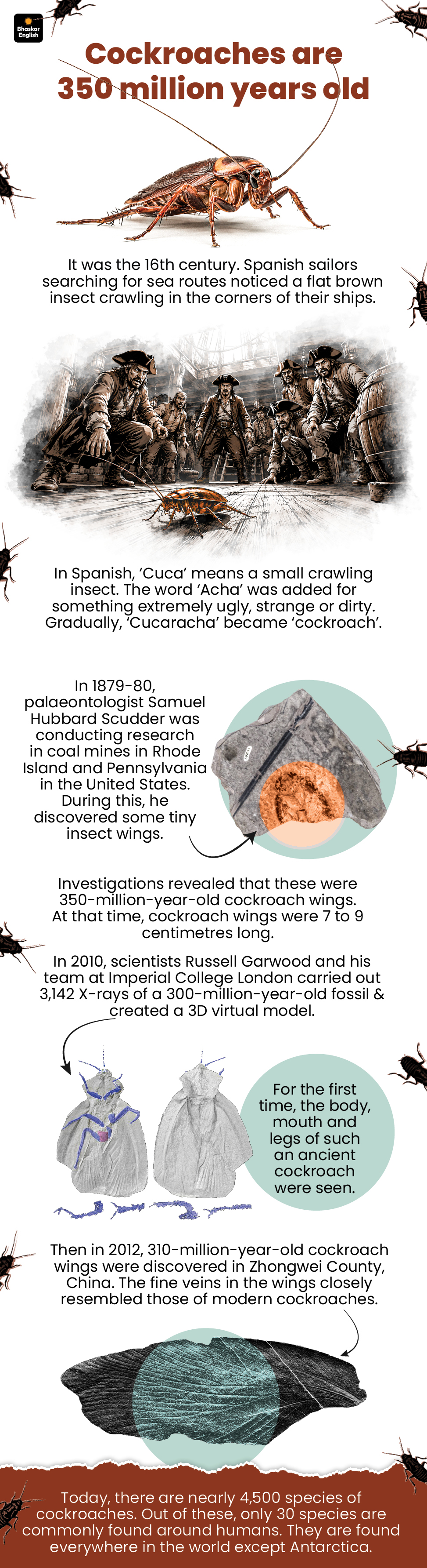 Cockroach Survival Facts: Older Than Dinosaurs, Reproduce Without Mating