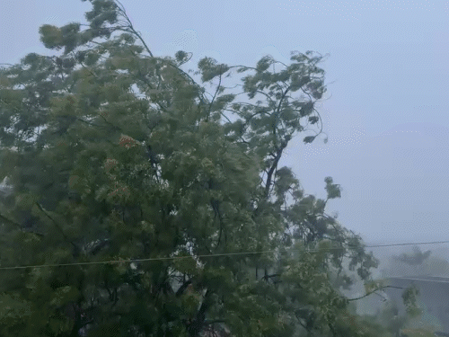 Gujarat Weather: Gusty Winds & Thunderstorms; Pre-Monsoon Showers Arrive