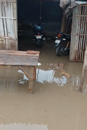 खगड़िया में बारिश का पानी घरों में भर गया