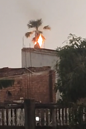 छपरा में अपने एक पेड़ को रोशन करते हुए