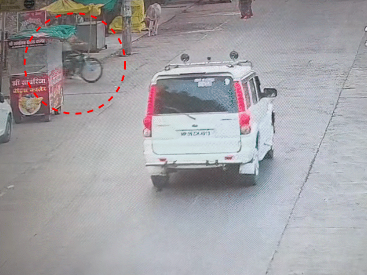 तेज रफ्तार स्कार्पियो ने छात्रा को टक्कर मार दी, जिससे वह घायल हो गई। - भास्कर इंग्लिश
