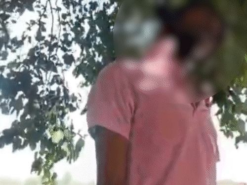 मनोज कुशवाह ने 28 मई को जामुन के पेड़ पर चढ़कर गले में फंदा डालते हुए यह वीडियो रिकॉर्ड किया था. - भास्कर इंग्लिश