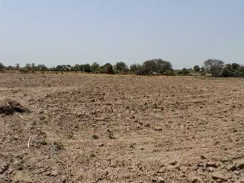 ग्रामीणों की शिकायत के बाद मौके पर पहुंचकर निरीक्षण करतीं जनपद पंचायत सीईओ सुनीता शर्मा। - भास्कर इंग्लिश