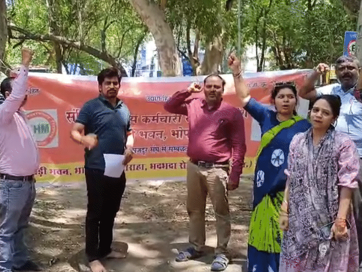 मध्य प्रदेश के करीब 32 हजार संविदा स्वास्थ्य कर्मचारी मंगलवार को अनिश्चितकालीन हड़ताल पर चले गये. - भास्कर इंग्लिश