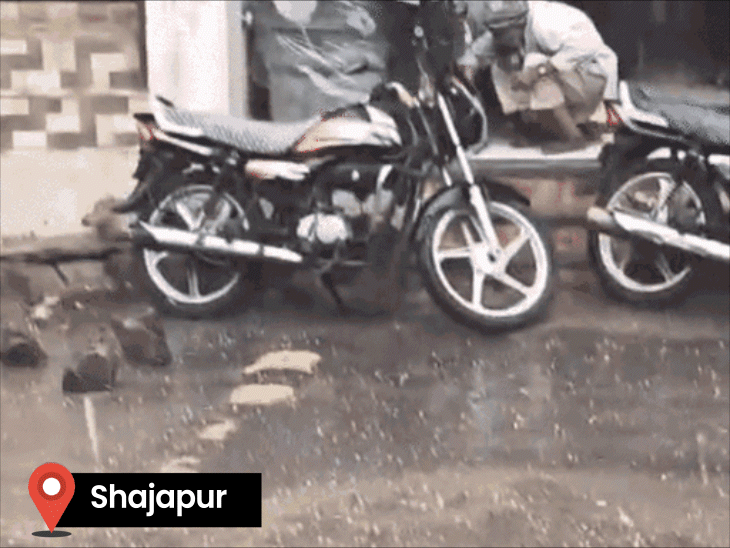 शाजापुर में शनिवार को तेज बारिश के साथ चने के आकार के ओले गिरे. नर्मदापुरम में भी भारी बारिश हुई. - भास्कर इंग्लिश