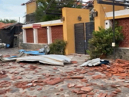 Destruction caused by the storm that had hit Tamil Nadu