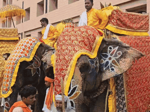 149th Rathyatra will be held on July 16 - Bhaskar English