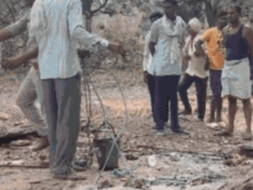 एसडीएम आरती सिंह ने बताया कि कुएं को मिट्टी से भरवाकर समतल कराया जाएगा। - भास्कर इंग्लिश