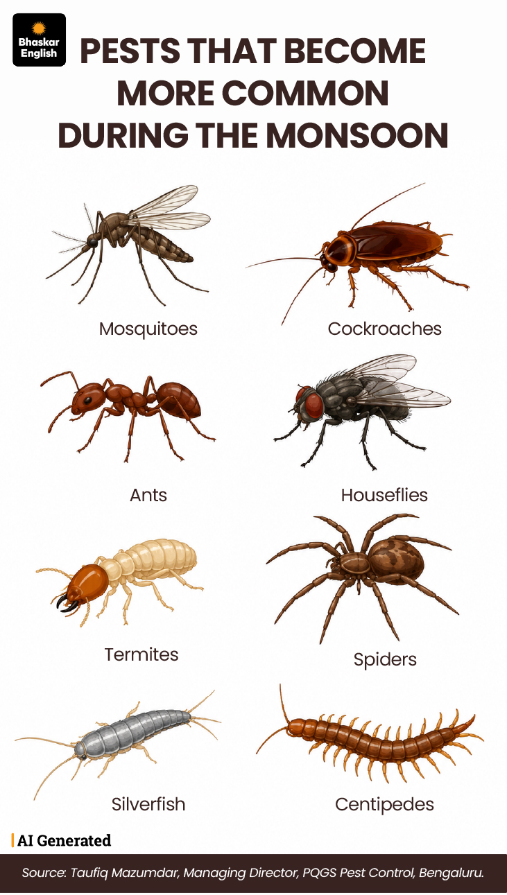 Insects Multiplying Insects Away: 10 Precautions & 7 Home Remedies for Monsoon Pest Control