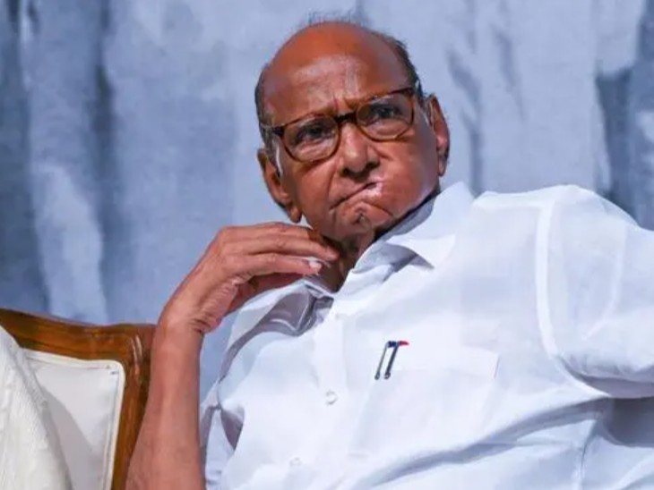 शरद पवार और महाराष्ट्र के डिप्टी सीएम एकनाथ शिंदे की 8 जुलाई को मुंबई में मुलाकात हुई। - भास्कर इंग्लिश