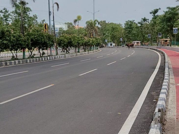 भोपाल में सोमवार को धूप खिली रही। इससे उमस और गर्मी का असर बढ़ गया। - भास्कर इंग्लिश