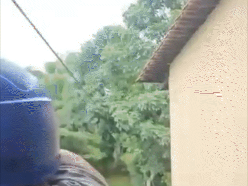 हादसे के तुरंत बाद कुबेर को सबसे पहले दांदेली सरकारी अस्पताल ले जाया गया - भास्कर इंग्लिश