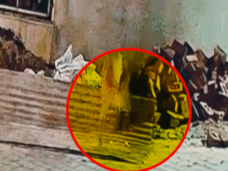 Leopard Intrusion in Ahmedabad | Residents Fear in Ghuma-Shela-Bopal