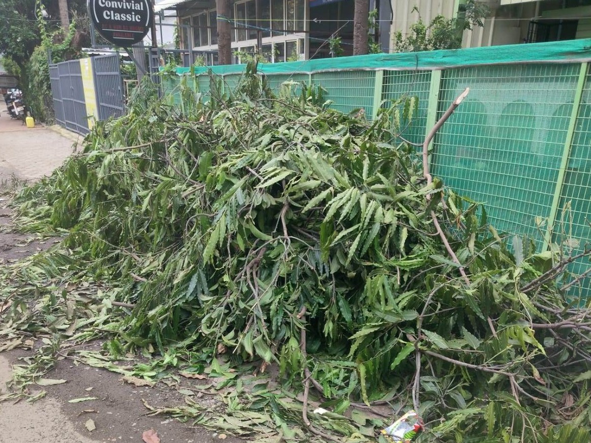 A fine was also imposed in Bhopal for cutting trees. - Bhaskar English