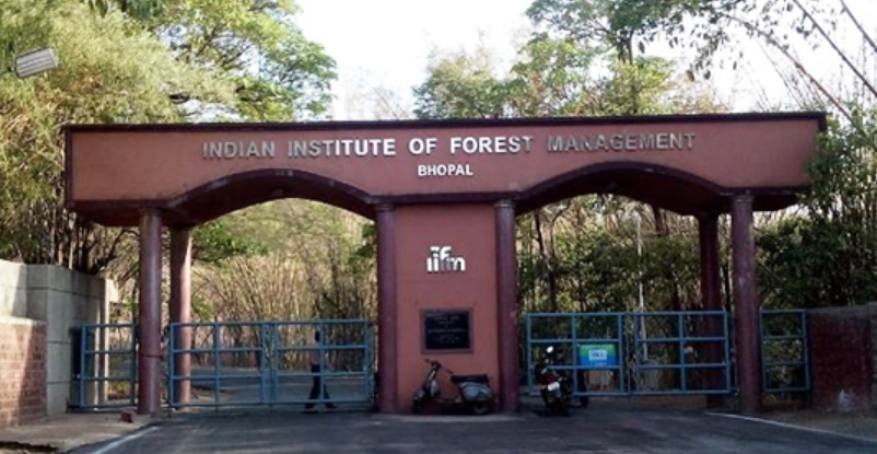 IIFM provides mentorship and funding to start-ups related to the environment and sustainable development.