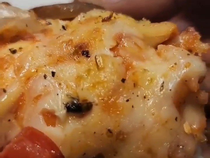 A fly was found in the pizza of Rajkot's famous Domino's - Bhaskar English
