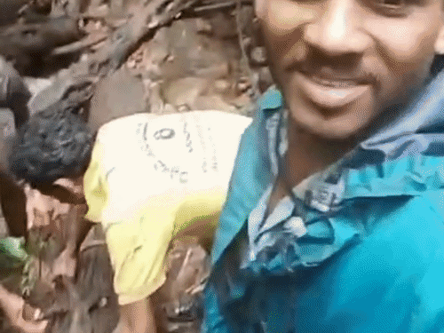 Lizard Reel Chhattisgarh: Men Arrested For Killing Monitor Lizard After Viral Reel