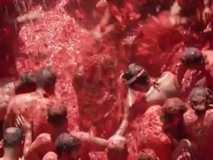 'Red-hot chaos!': Thousands turn Buñol into a sea of tomatoes at La Tomatina. Photo: AFP