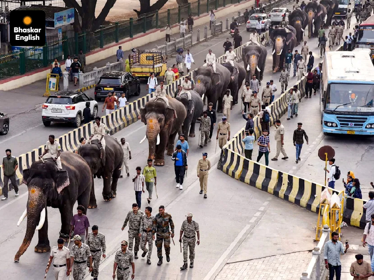 On elephant patrol: Karnataka Police inspect iconic 400-year-old Mysuru Dasara procession route