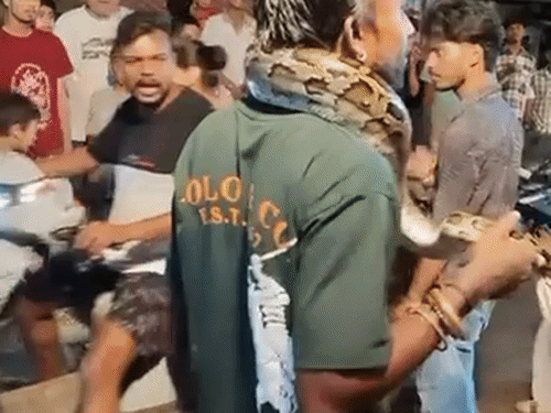 A young man was seen roaming around Haridwar with a python around his neck. - Bhaskar English