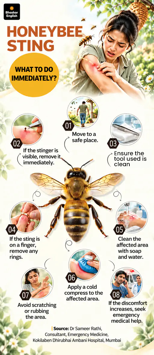 Bee Sting First Aid: 6 Home Remedies & 5 Warning Signs | Follow Bhaskar