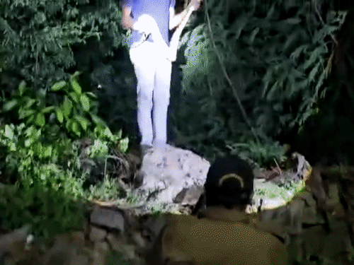 Python Rescued in Junagadh | Forest Dept Relocates Snake Safely