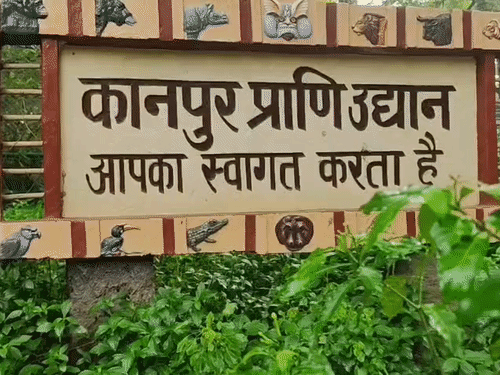 Blackbuck Deaths at Kanpur Zoo | IVRI Experts Probe Infection Risk