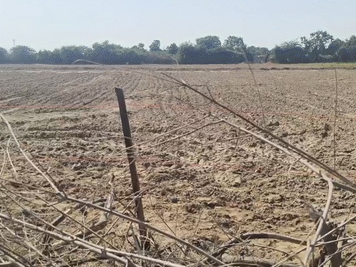 Gujarat Drought Crisis: Farmers Warn Agitation Over Rainfall Deficit