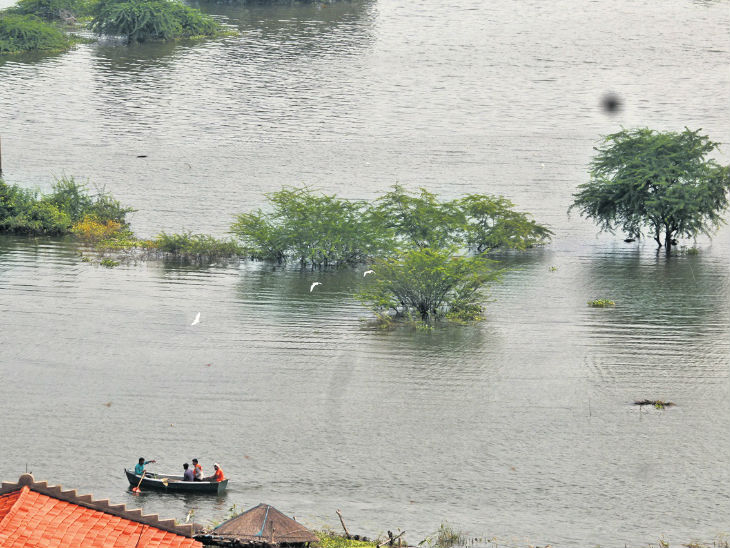 घर-खेत डूब गए तो पहाड़ियों पर झोपड़ी बांध रह रहे, नाव से कर रहे आना-जाना|रतलाम,Ratlam - Dainik Bhaskar
