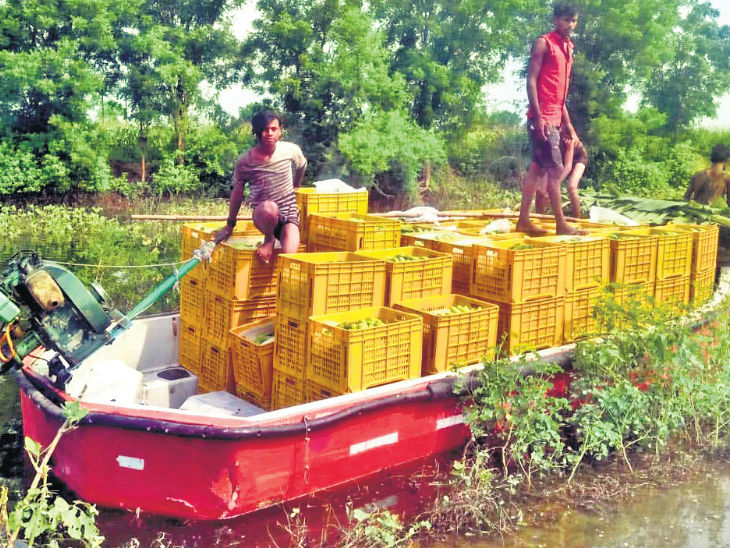घर-खेत डूब गए तो पहाड़ियों पर झोपड़ी बांध रह रहे, नाव से कर रहे आना-जाना|रतलाम,Ratlam - Dainik Bhaskar
