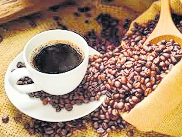 जशपुर में 100 एकड़ में चाय-कॉफी, कोंडागांव में मक्का व गरियाबंद में 32 करोड़ में लगाएंगे कोदो प्रोसेसिंग सेंटर|रायपुर,Raipur - Dainik Bhaskar