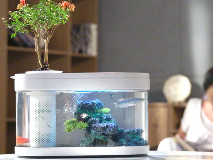 Xiaomi Fish Tank launched in China starting arounds 3000 rupees can be ...