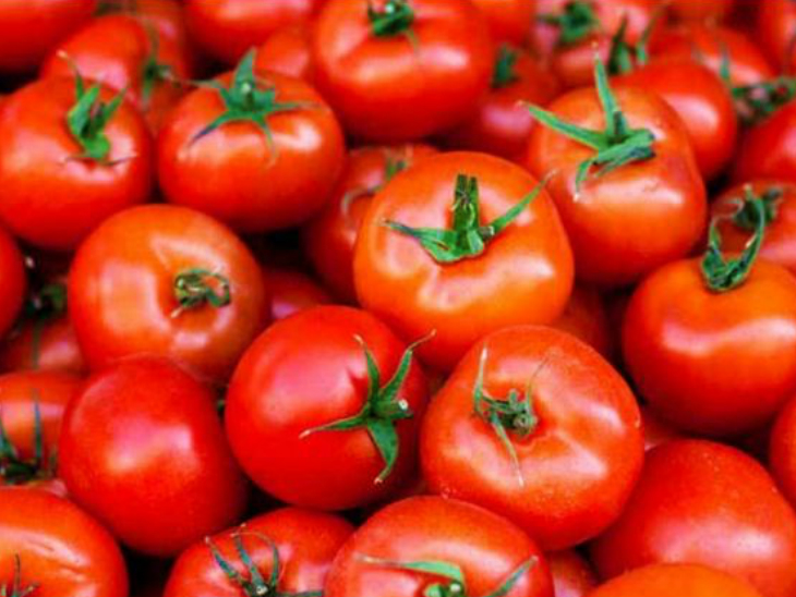Pakistan Karachi Tomato Price Tomato Prices Skyrocket In Pakistan