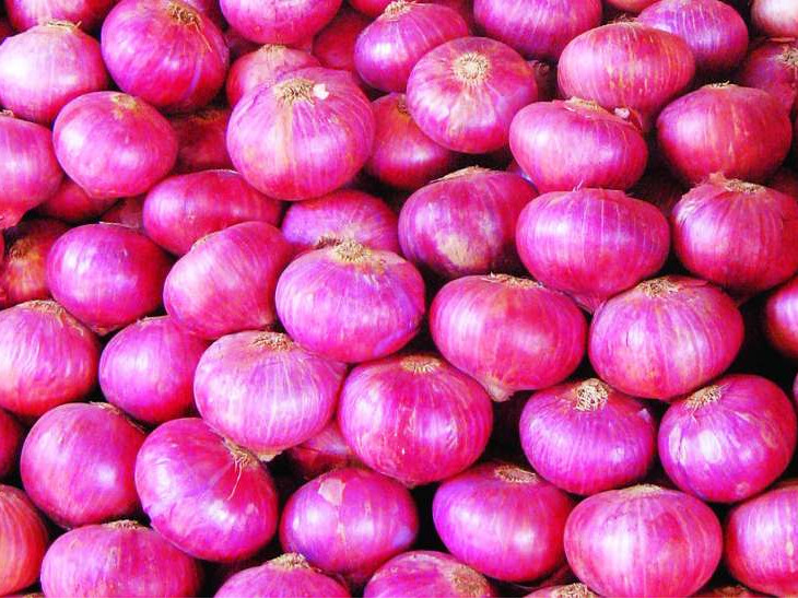 Rajasthan Onion Price | Rajasthan Onion Price Rates Today Latest News Updates Onion New Crop | प्याज के दाम में मामूली राहत, नई फसल आने पर आएंगी कीमतें काबू में - Dainik Bhaskar